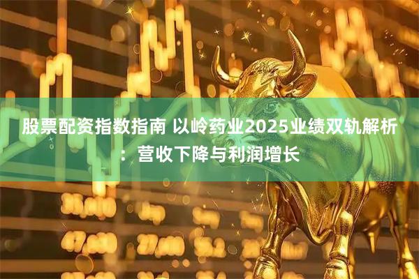 股票配资指数指南 以岭药业2025业绩双轨解析：营收下降与利润增长